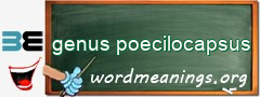 WordMeaning blackboard for genus poecilocapsus